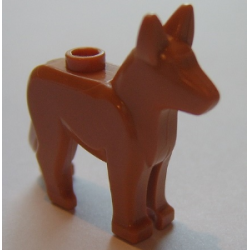 Dog, Alsatian / German Shepherd - Dark Orange