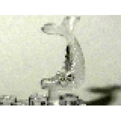 Fish, Ornamental - Trans-Clear