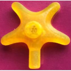 Starfish / Sea Star - Trans-Neon Yellow