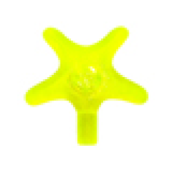 Starfish / Sea Star - Trans-Neon Green