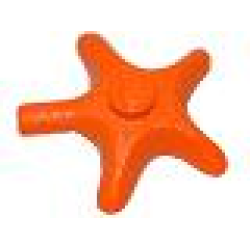 Starfish / Sea Star - Orange